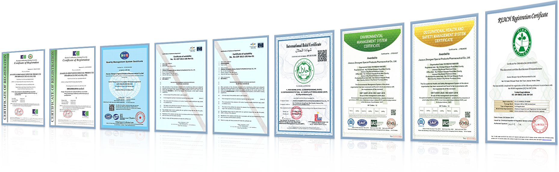 certificate12