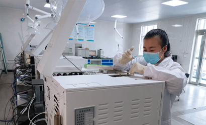 Gas chromatograph