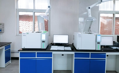 Gas chromatograph